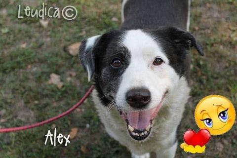 Alex ha trovato casa!